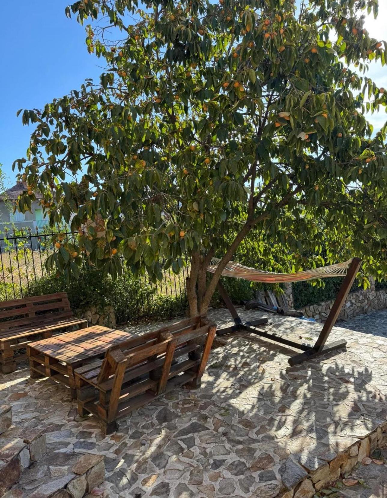 Sunshine Villa Dzhigurovo Σαντάνσκι Εξωτερικό φωτογραφία